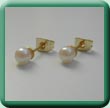 Simulated Pearl Studs