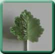 Glass Leaf Tie Pin
