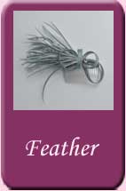 Feather Hair Combs