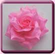 Pink Shiny Rose Hair Clip