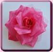 Hot Pink Shiny Rose Hair Clip