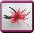 Bright Red Feather Flower Fascinator Hair Clip
