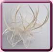 Ivory Feather Organza Fascinator Comb