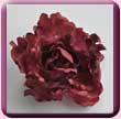 Red Frilly Peony Fascinator