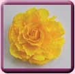 Bright Yellow Satin Rose Fascinator