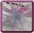 Spiky Feather Flower Fascinator/Hair Band 