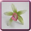 Pointed Orchid Hair Pin